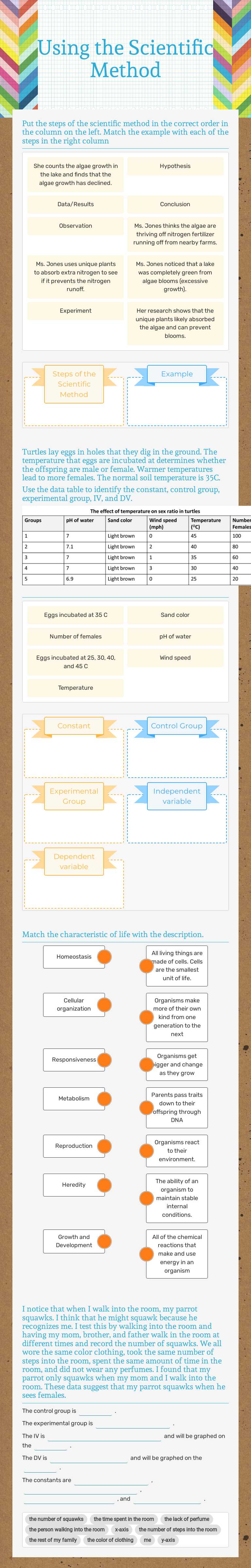 Using the Scientific Method worksheet preview image