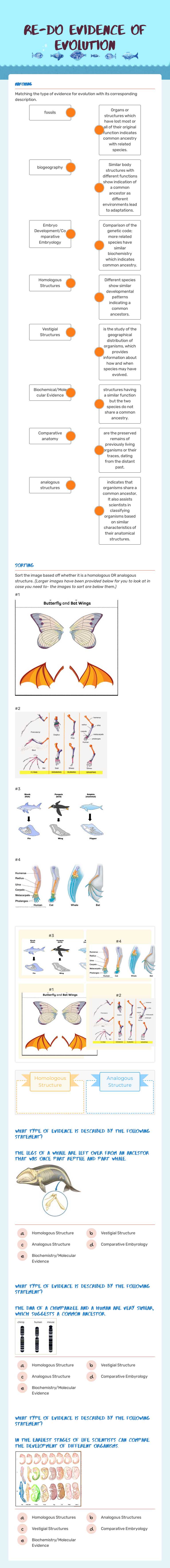 Re-do Evidence of evolution worksheet preview image