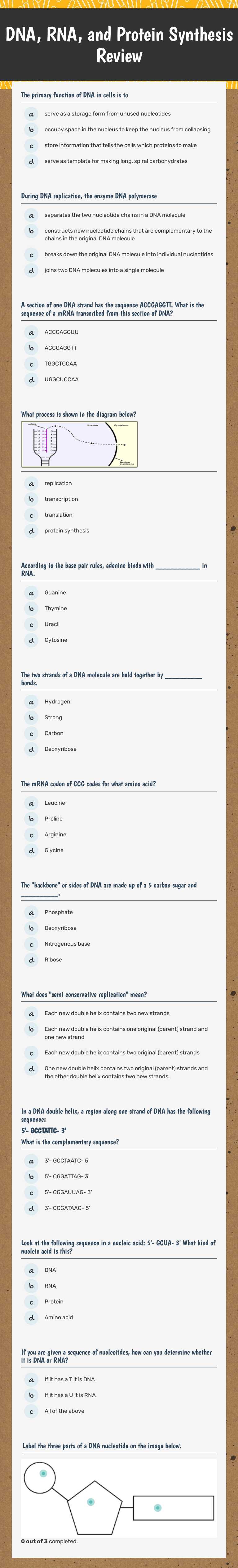 DNA, RNA, and Protein Synthesis Review Grade 9 worksheet preview