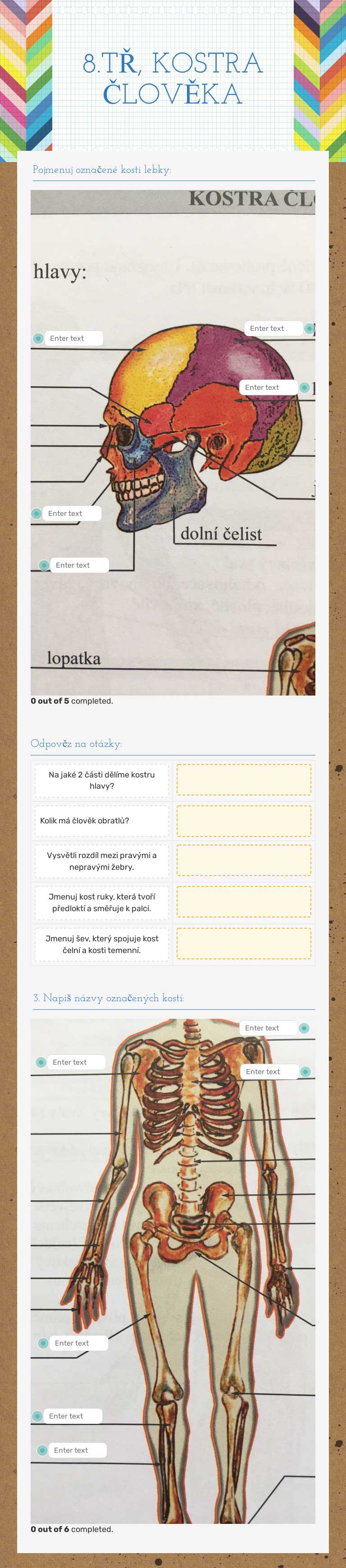 8.TŘ, KOSTRA ČLOVĚKA worksheet preview image