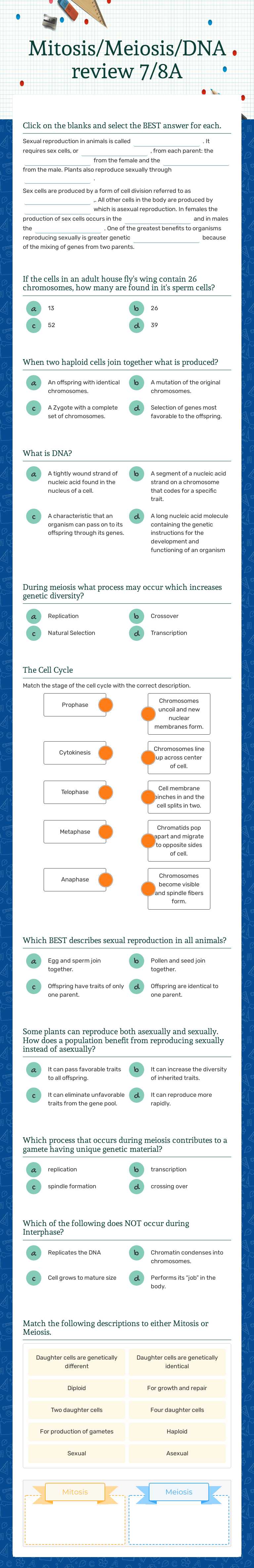 Mitosis/Meiosis/DNA review 7/8A worksheet preview image