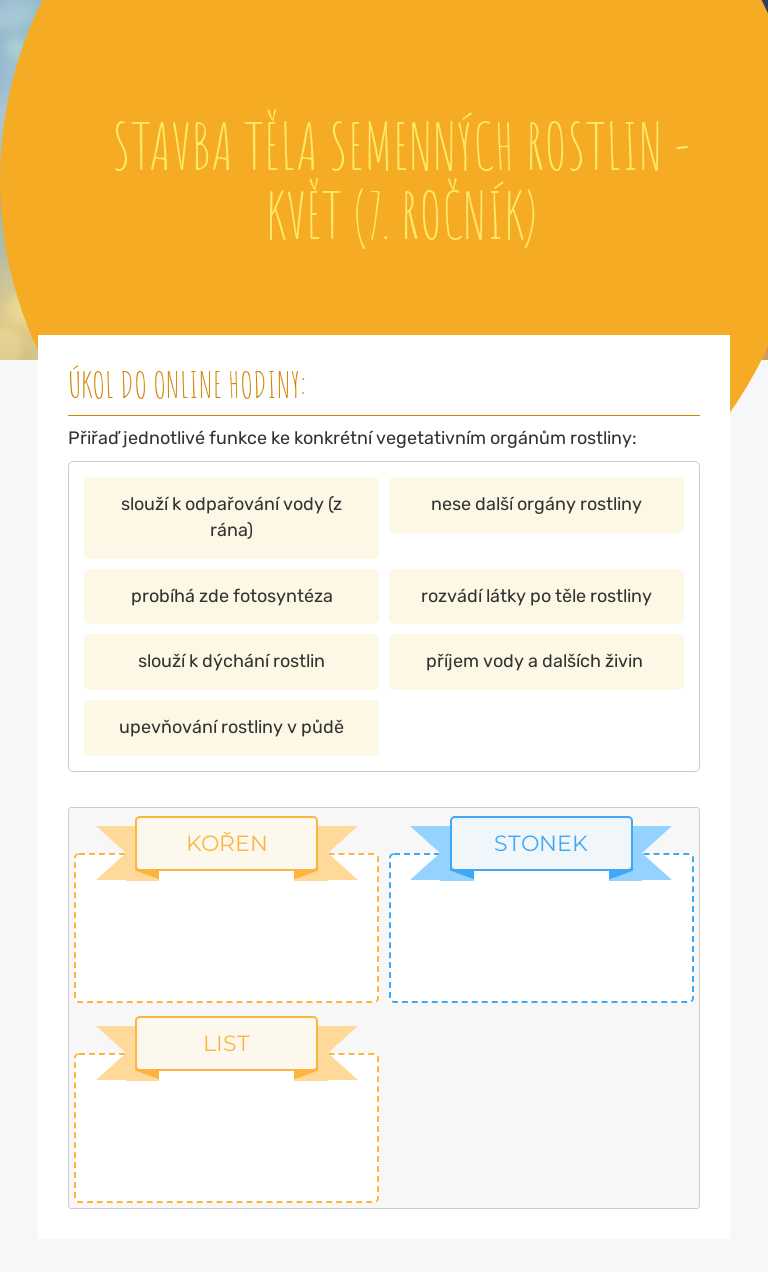 STAVBA TĚLA SEMENNÝCH ROSTLIN - KVĚT (7. ROČNÍK) worksheet preview image