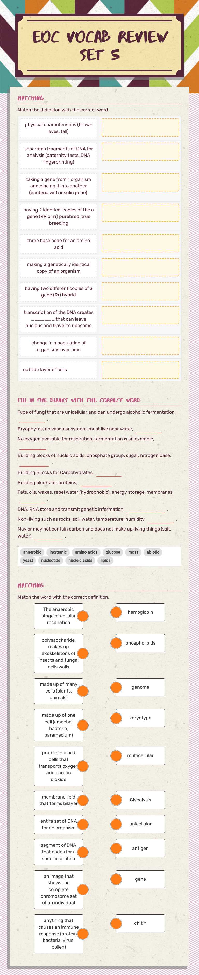 EOC vocab Review  Set 5 worksheet preview image
