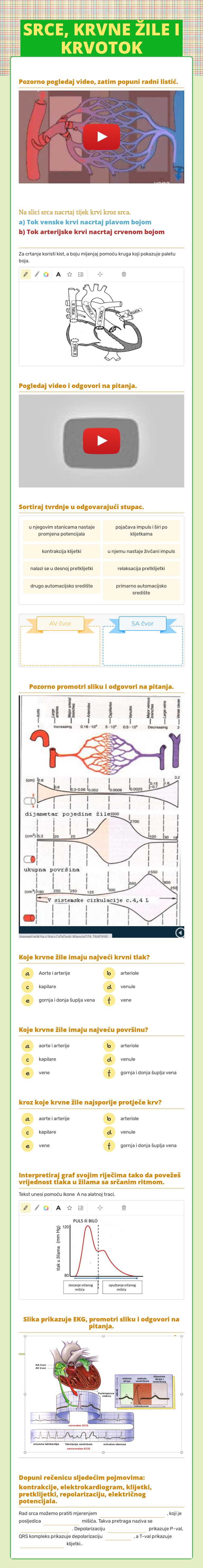 SRCE, KRVNE ŽILE I KRVOTOK worksheet preview image
