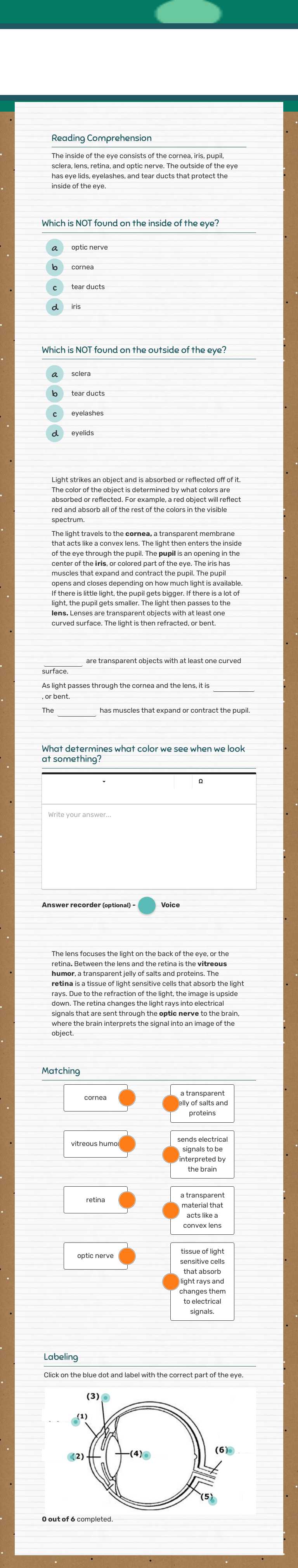 Light and the Eye Grade 6 worksheet preview