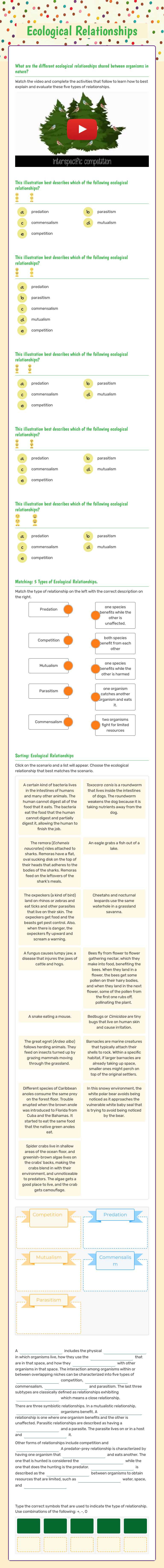Ecological Relationships worksheet preview image