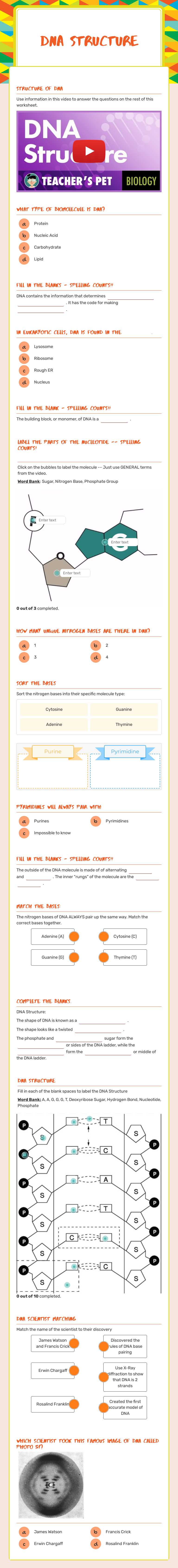 DNA Structure worksheet preview image