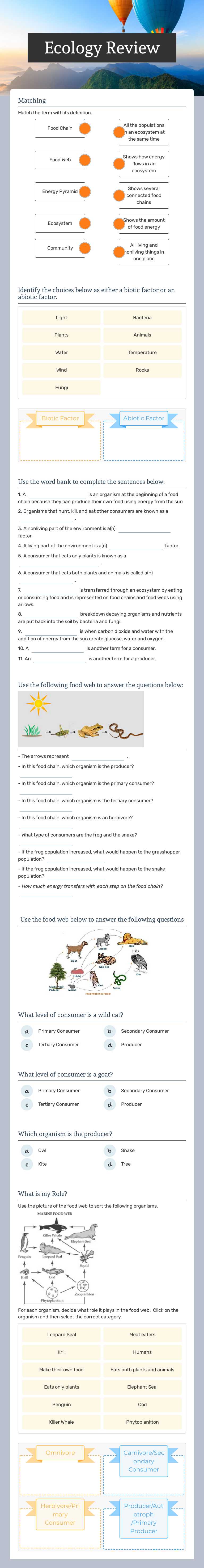 Ecology Review worksheet preview image