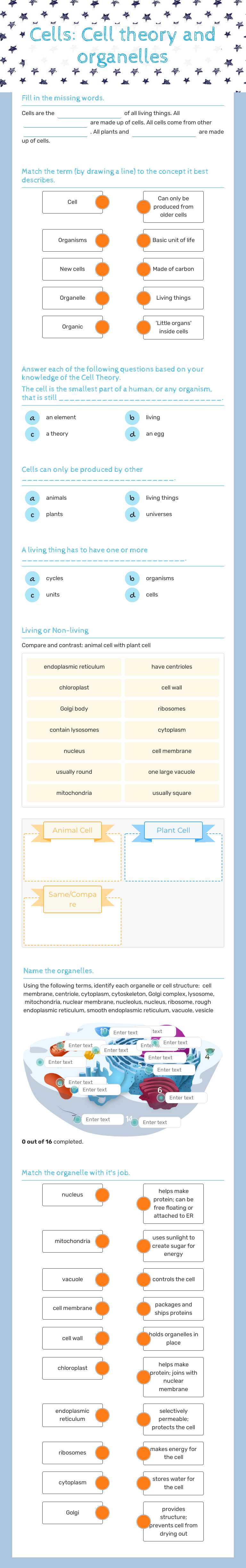 Cells: Cell theory and organelles Grade 10 worksheet preview
