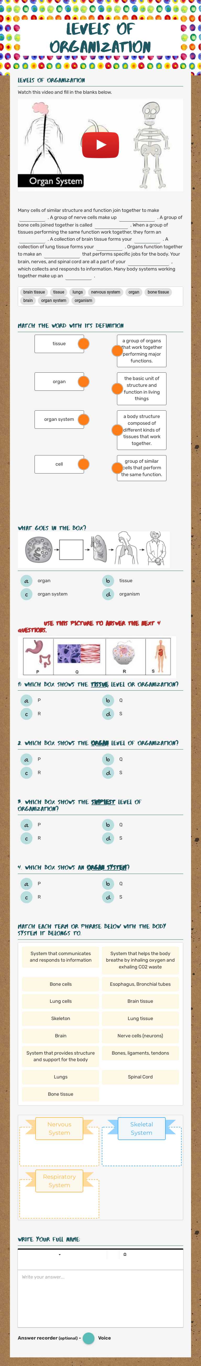 Levels of Organization Grade 6 worksheet preview