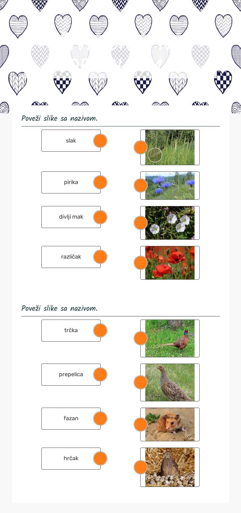 ŽIVA BIĆA NA ORANICAMA worksheet preview image