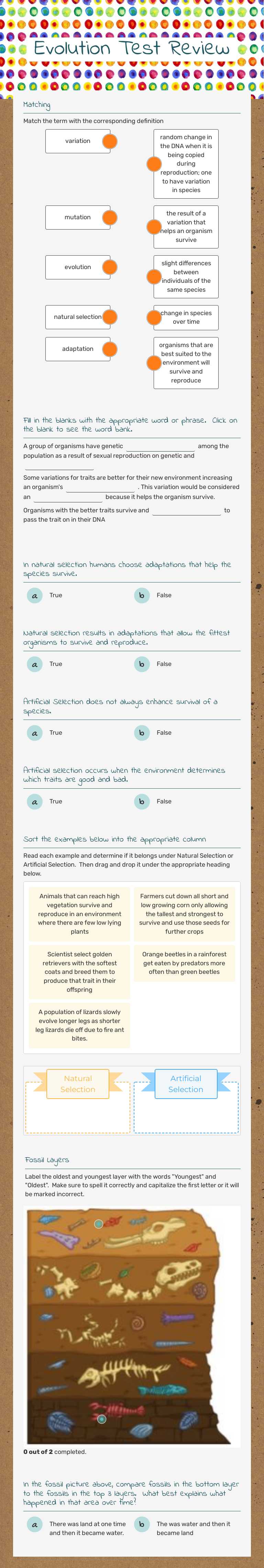 Evolution Test Review worksheet preview image