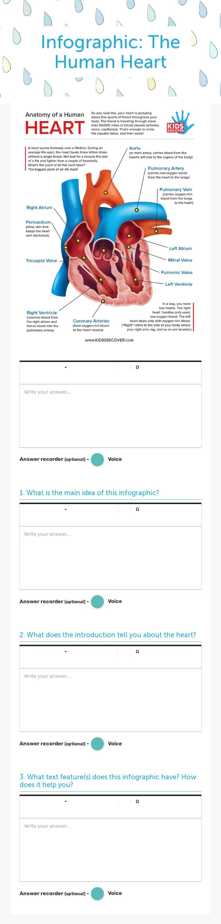 Infographic:
The Human Heart worksheet preview image