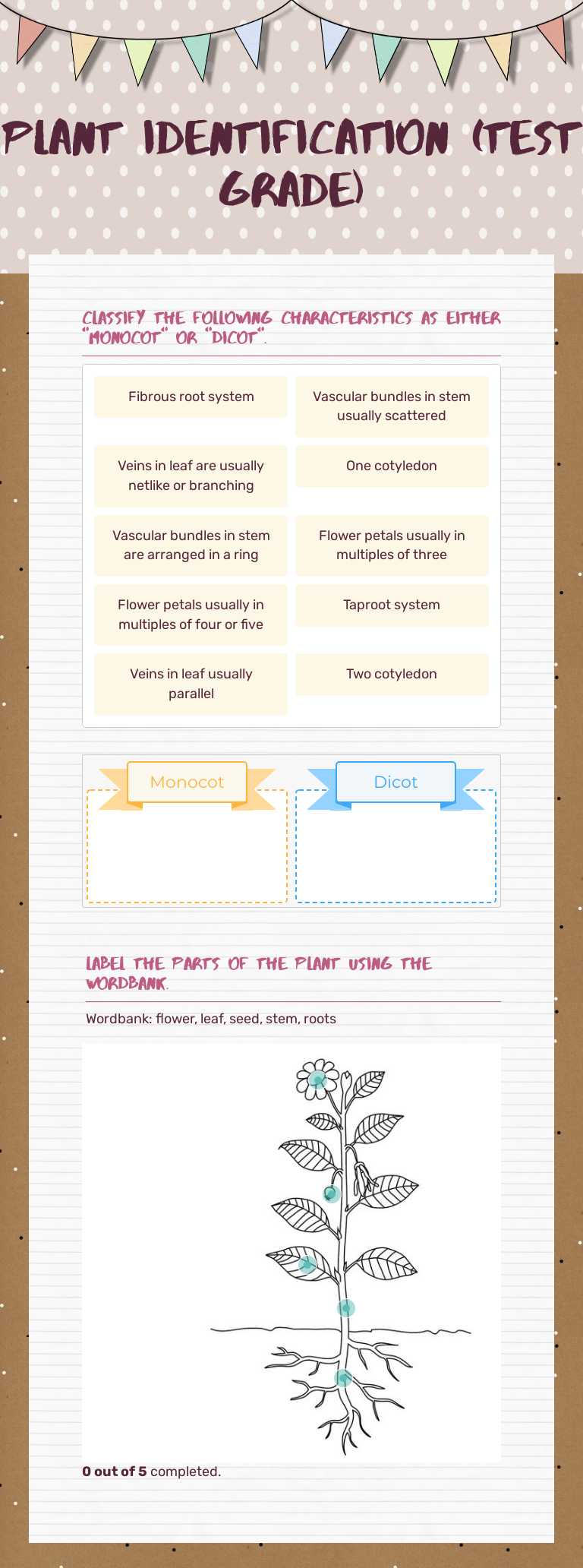 Plant identification (test grade) Grade 9 worksheet preview