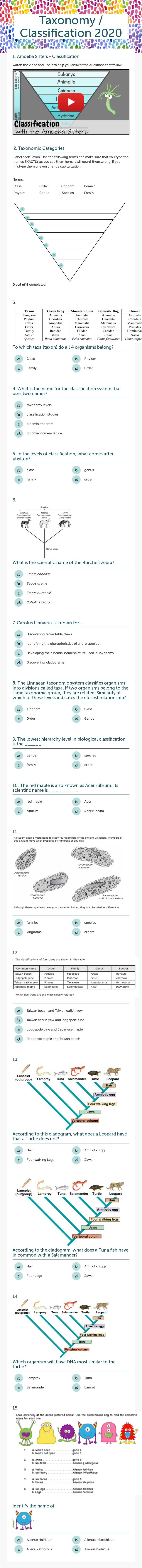 Taxonomy / Classification 2020 worksheet preview image