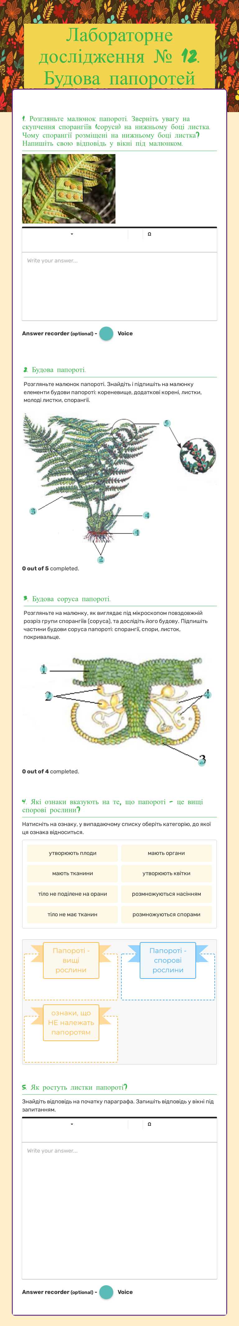 Лабораторне дослідження № 12.    
 Будова папоротей worksheet preview image
