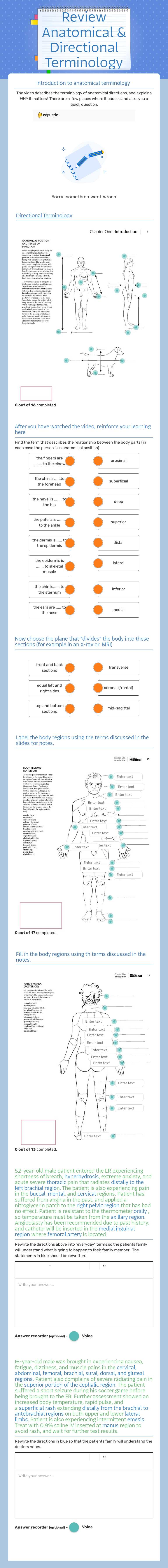 Review Anatomical & Directional Terminology worksheet preview image