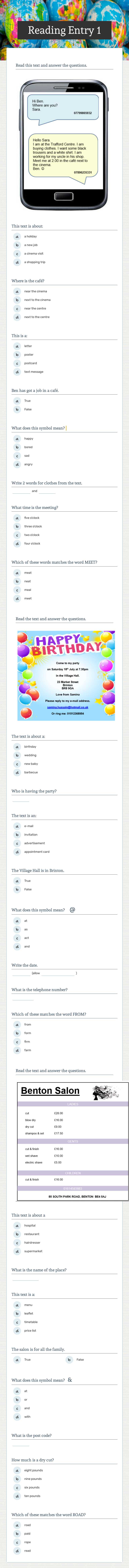 Reading Entry 1 Other worksheet preview