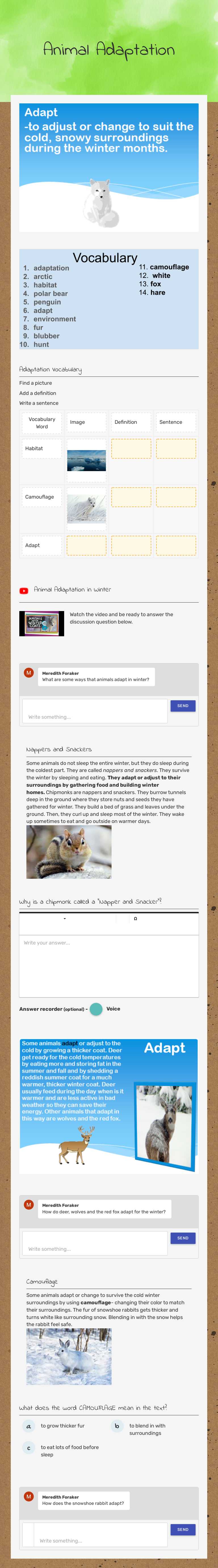 Animal Adaptation worksheet preview image