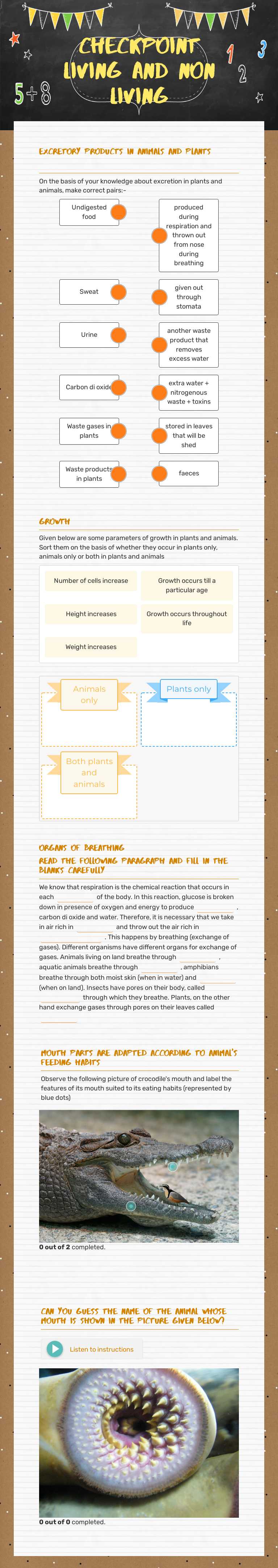 Checkpoint Living and Non LIVING Grade 6 worksheet preview