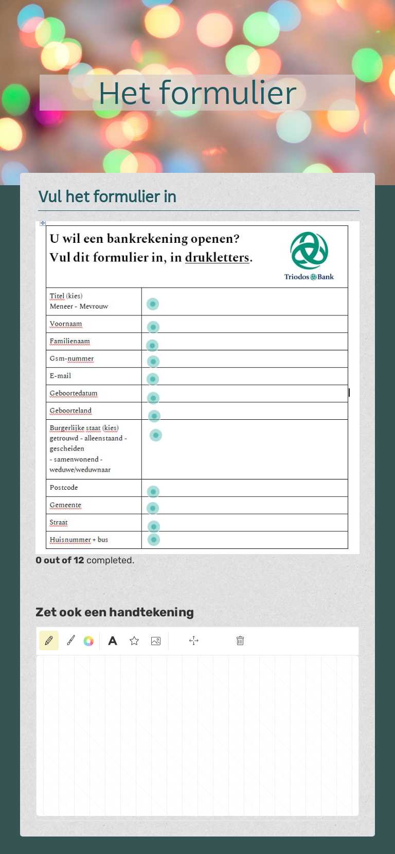 Het formulier worksheet preview image