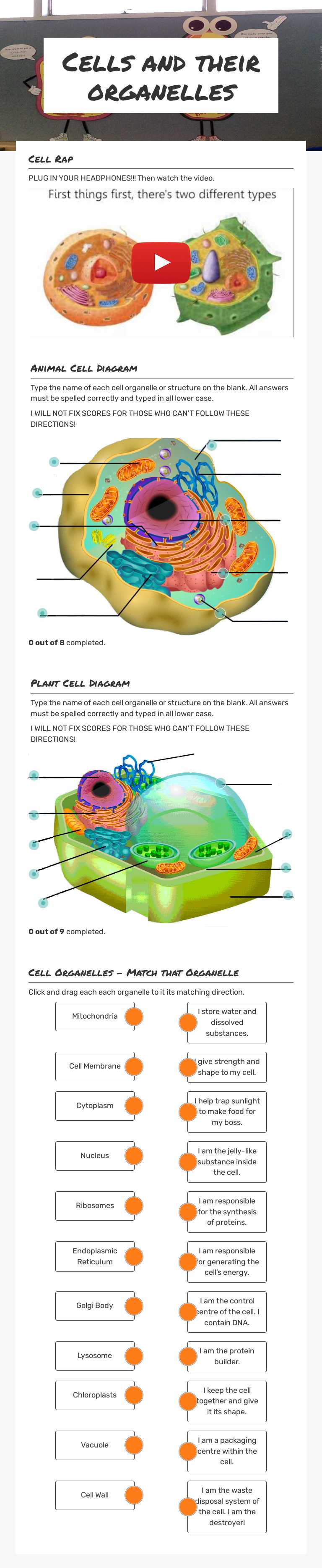 Cells and their organelles worksheet preview image