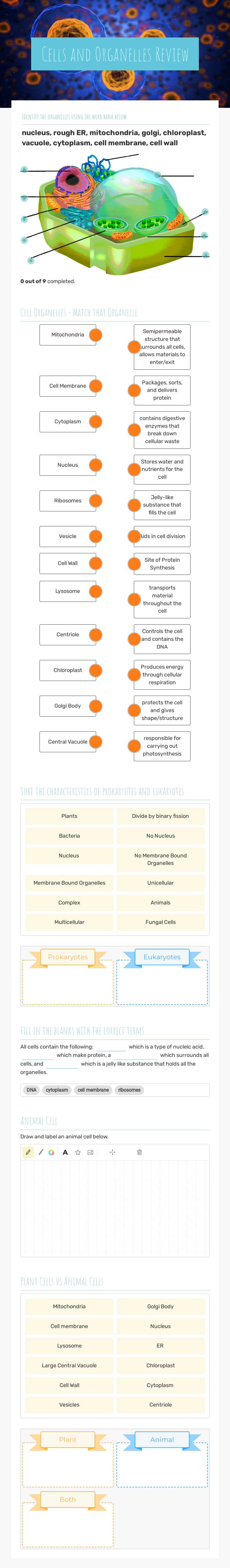 Cells and Organelles Review worksheet preview image