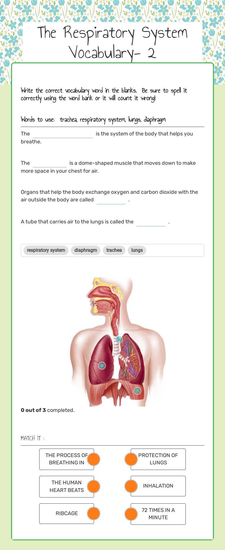 The Respiratory System Vocabulary-  2 Grade 4 worksheet preview