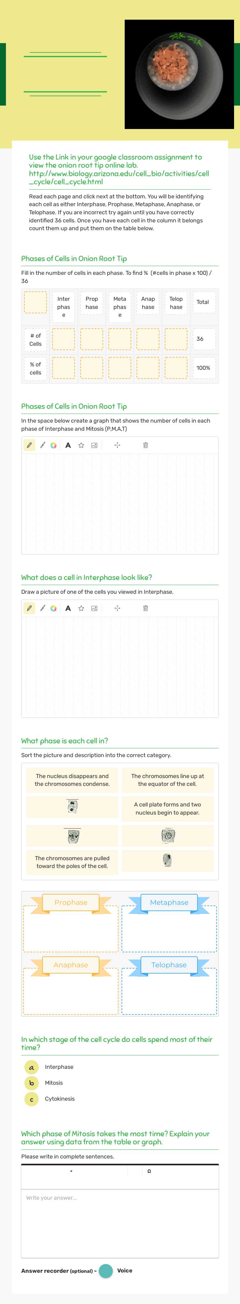 Mitosis in an Onion Root Tip
Lab Grade 9 worksheet preview
