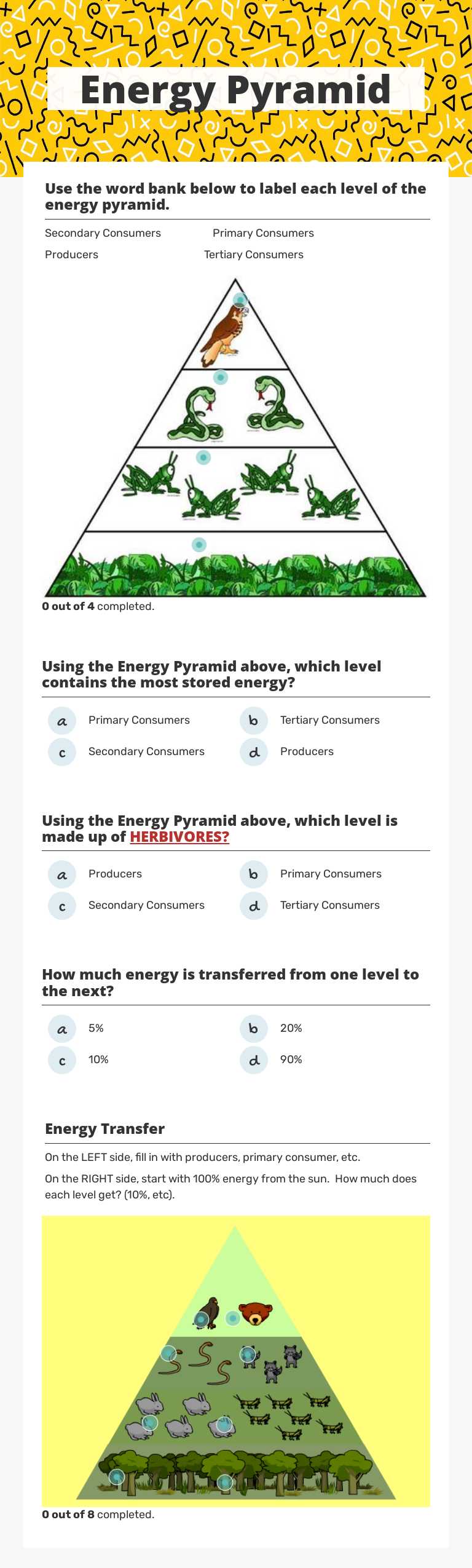Energy Pyramid worksheet preview image