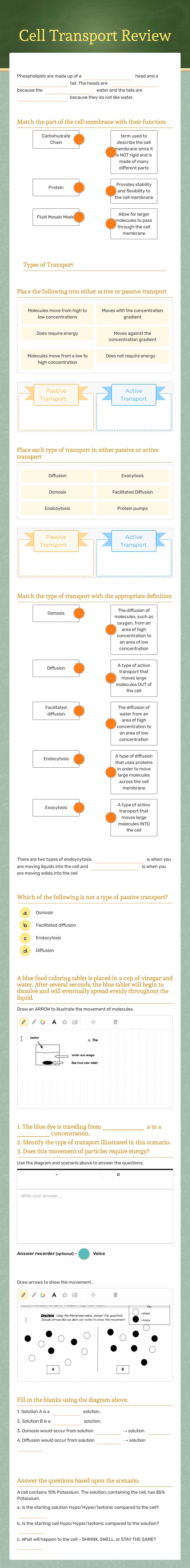 Cell Transport Review Grade 9 worksheet preview