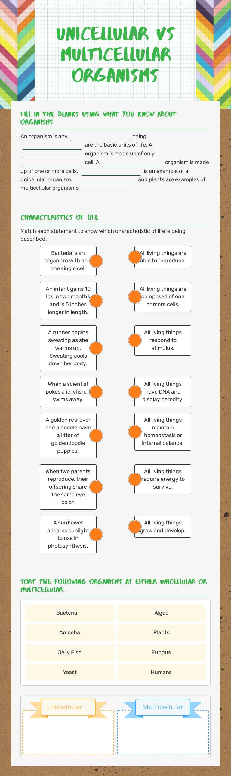 Unicellular vs multicellular Organisms worksheet preview image