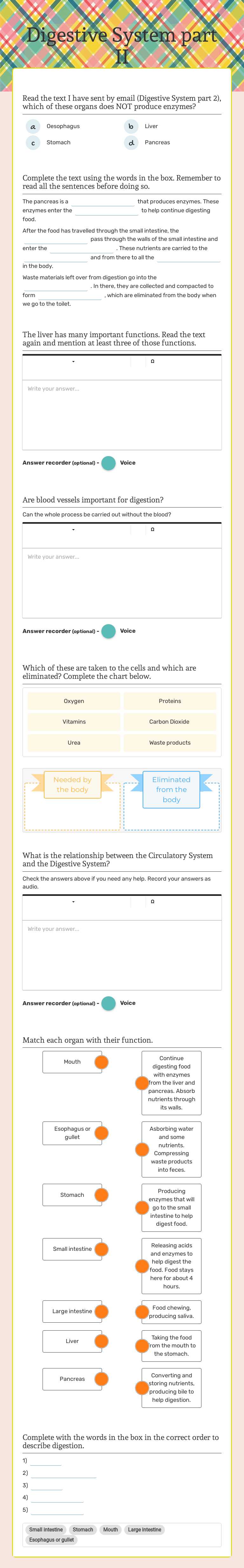 Digestive System part II Grade 6 worksheet preview