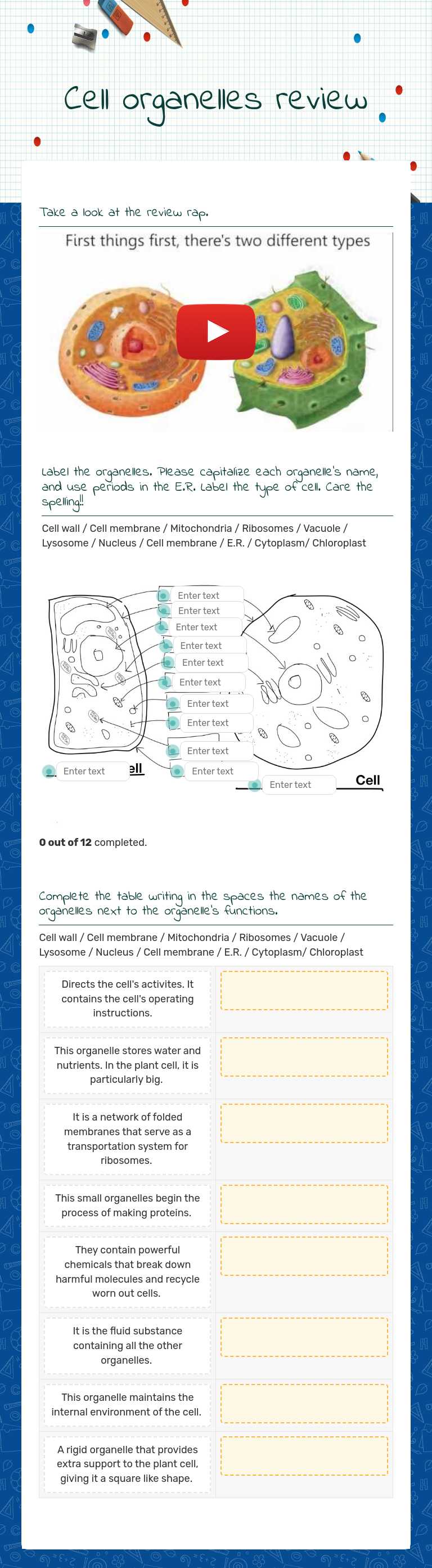 Cell organelles review worksheet preview image
