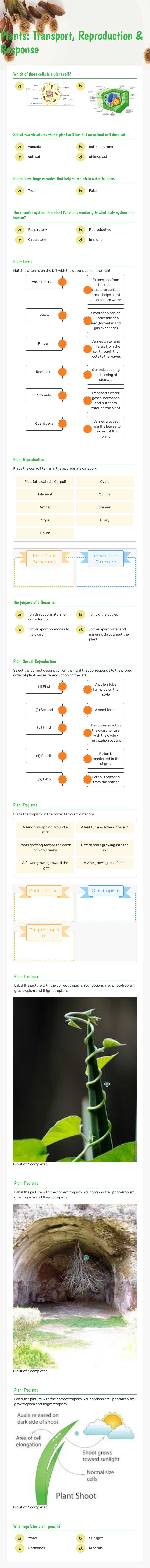 Plants: Transport, Reproduction & Response Grade 10 worksheet preview