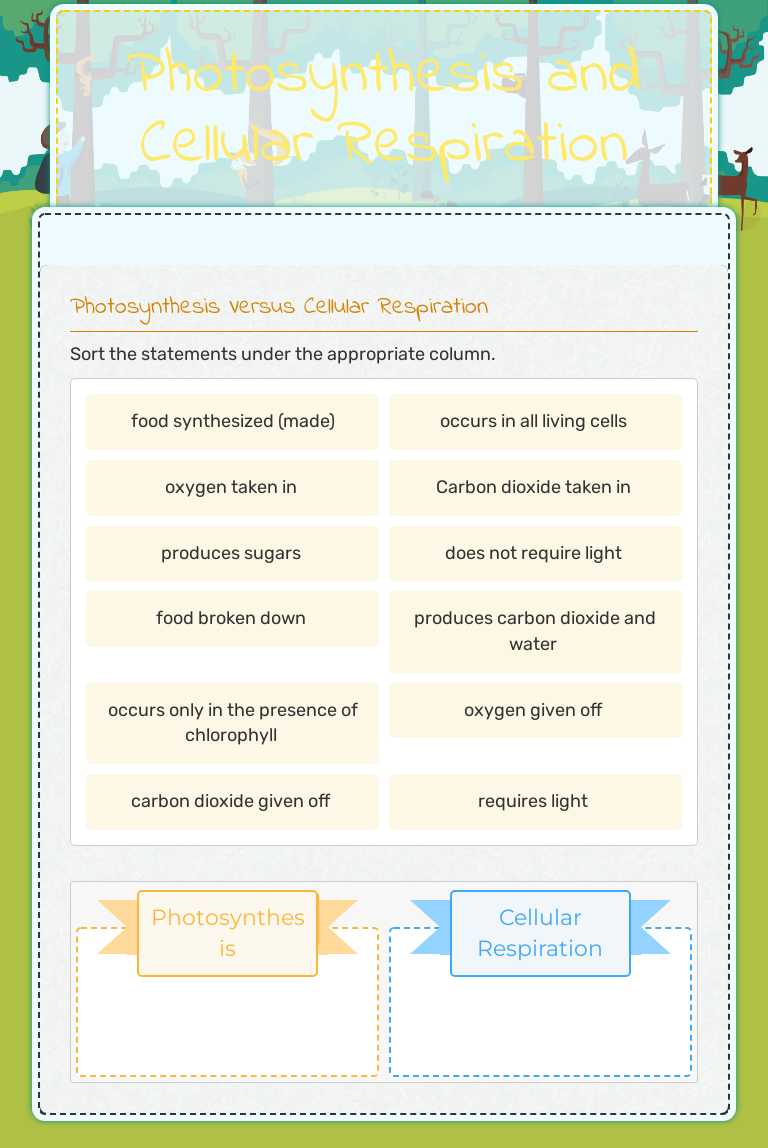 Photosynthesis and Cellular Respiration worksheet preview image