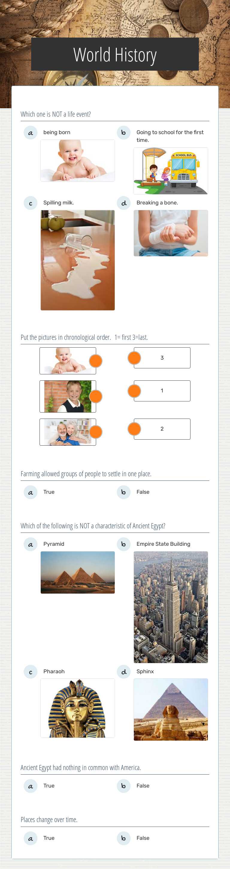 World History worksheet preview image