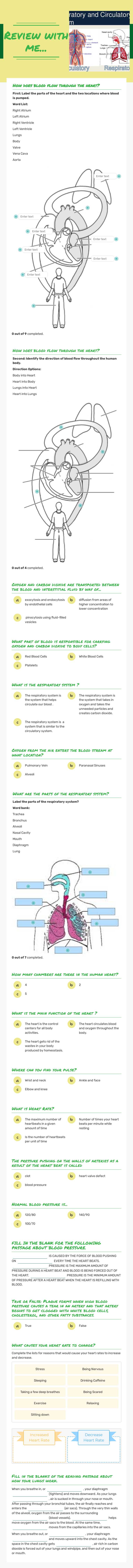 Review with me... worksheet preview image