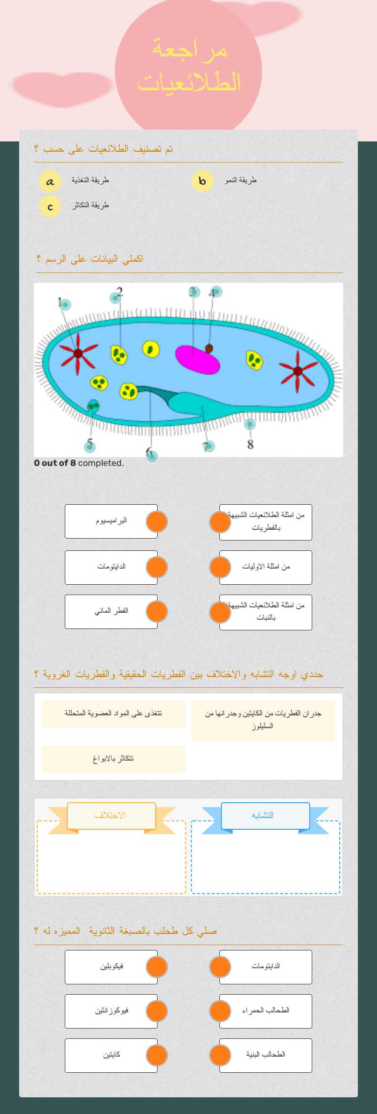 مراجعة الطلائعيات Grade 1 worksheet preview