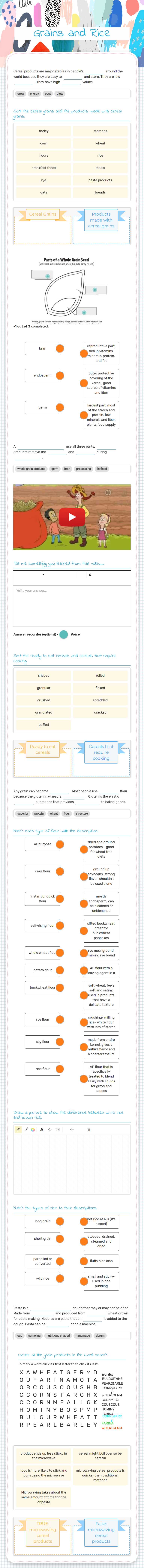 Grains and Rice worksheet preview