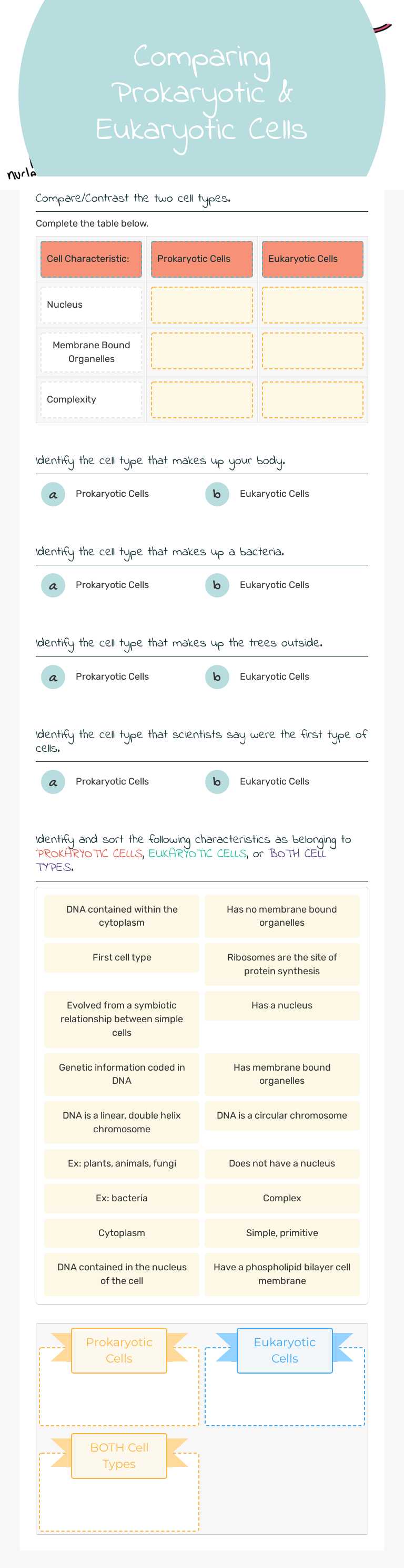 Comparing Prokaryotic & Eukaryotic Cells worksheet preview image