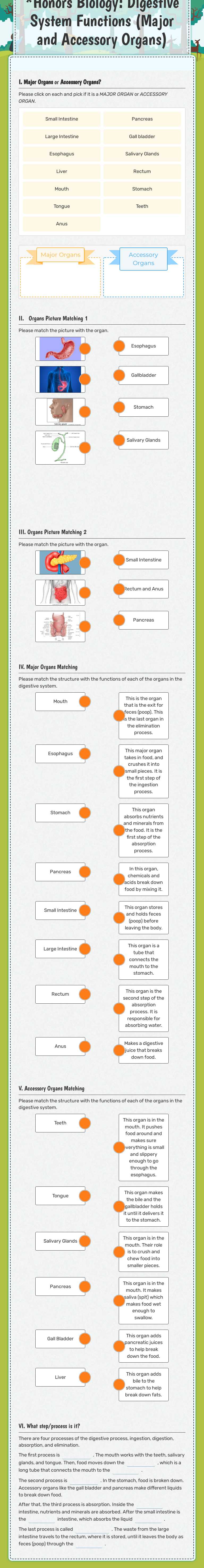 *Honors Biology: Digestive System Functions (Major and Accessory Organs) Grade 10 worksheet preview