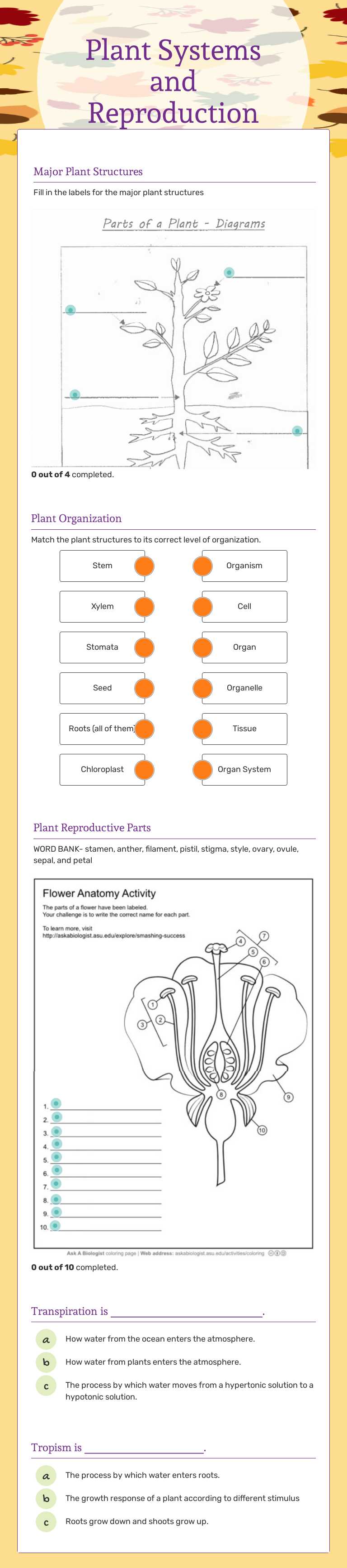 Plant Systems and Reproduction worksheet preview image