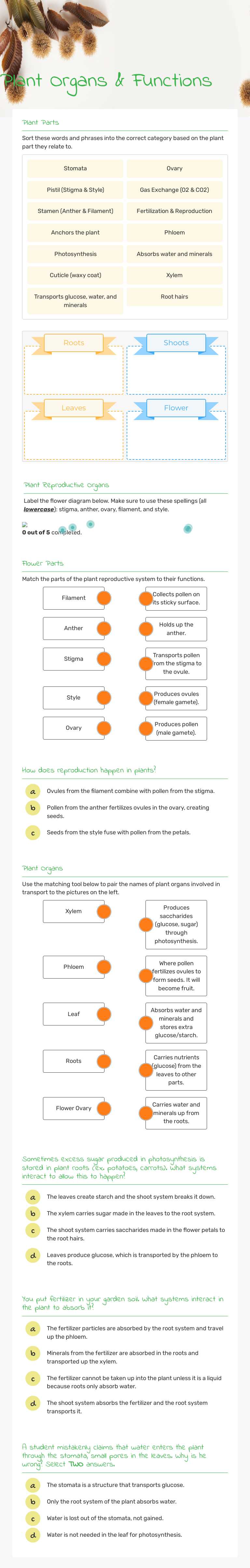 Plant Organs & Functions worksheet preview image