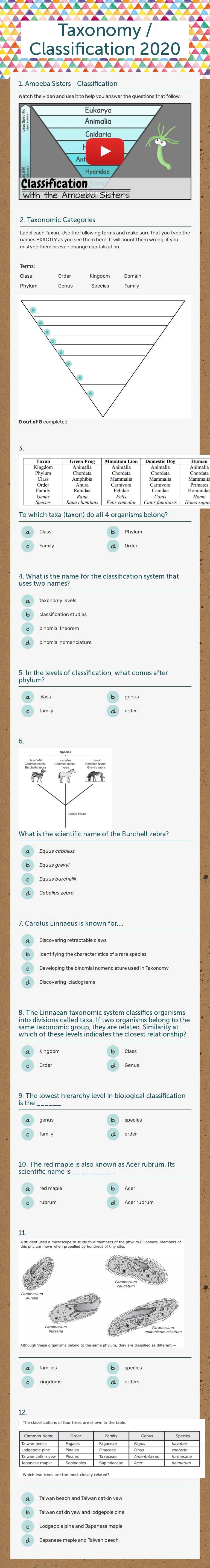 Taxonomy / Classification 2020 worksheet preview image