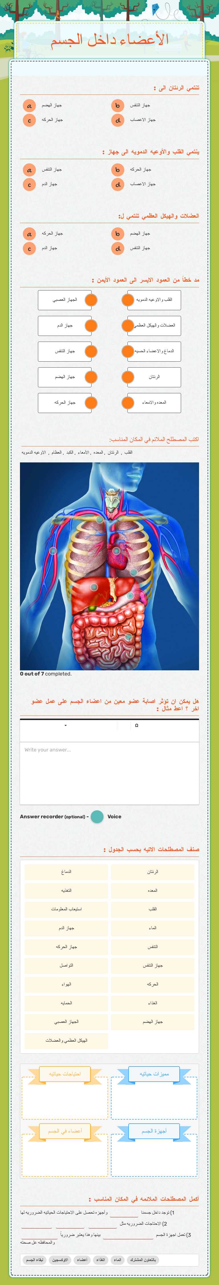 الأعضاء داخل الجسم worksheet preview image