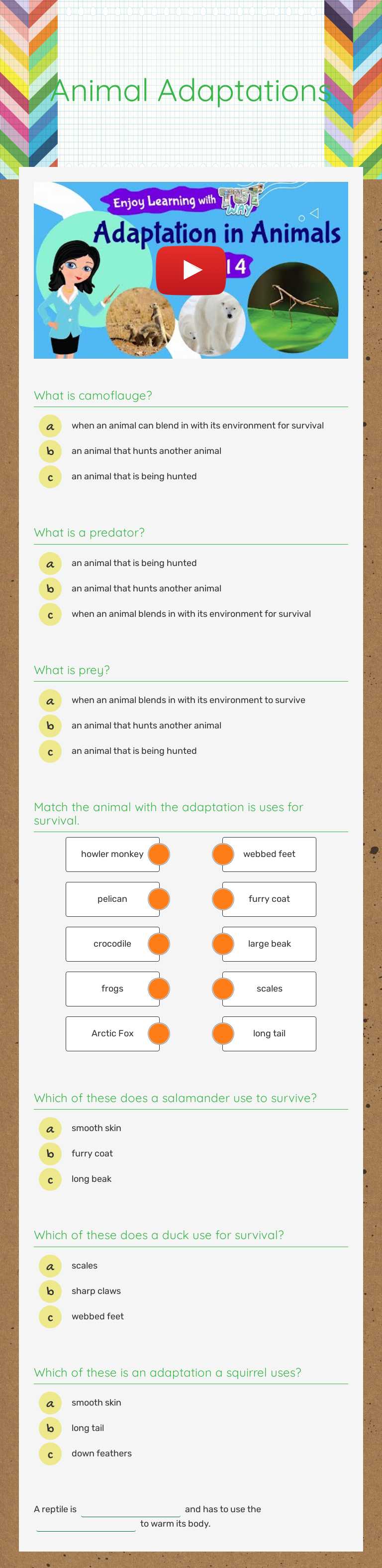Animal Adaptations worksheet preview image