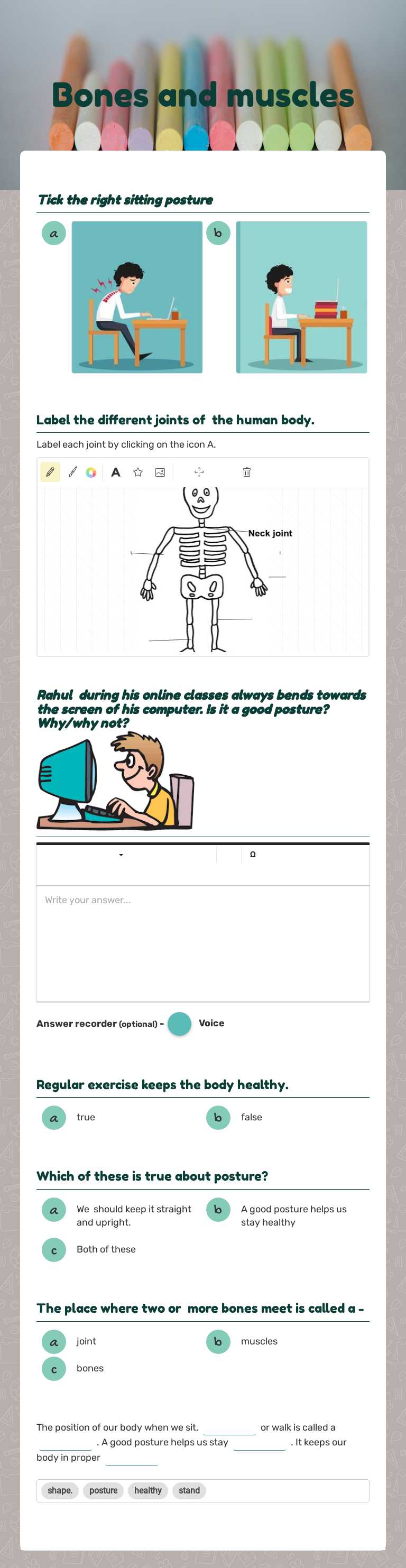 Bones and muscles worksheet preview image