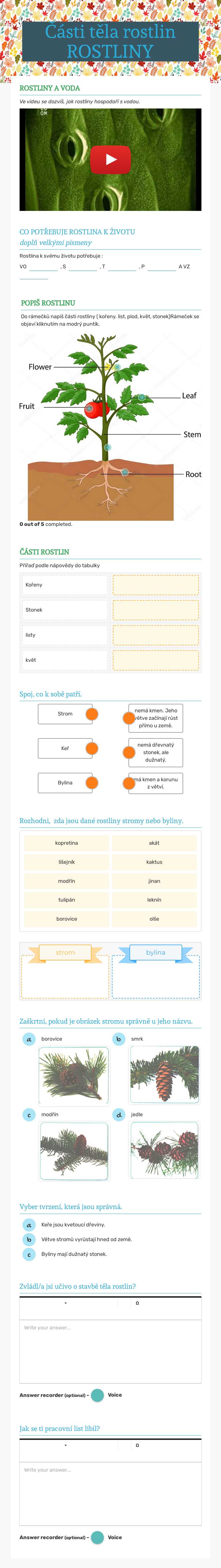 Části těla rostlin
ROSTLINY worksheet preview image