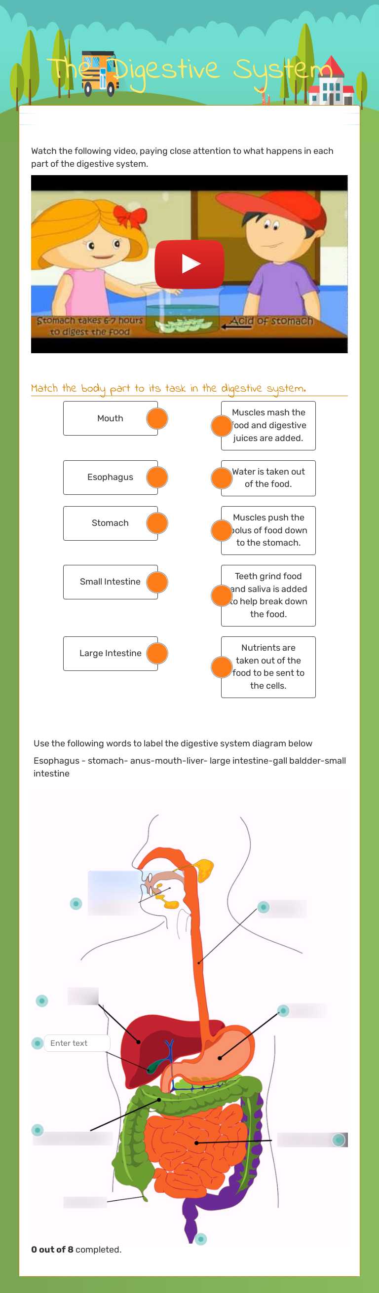 The Digestive System worksheet preview image